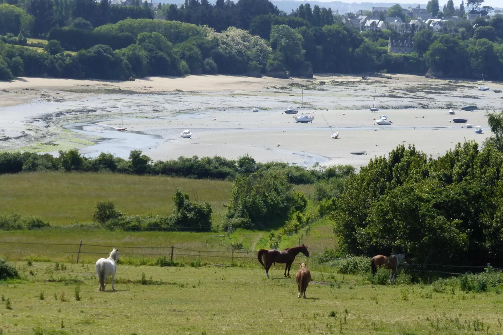 Dupleix dans un jardin bucolique à Saint Briac sur Mer-Gebieden zomer 1km