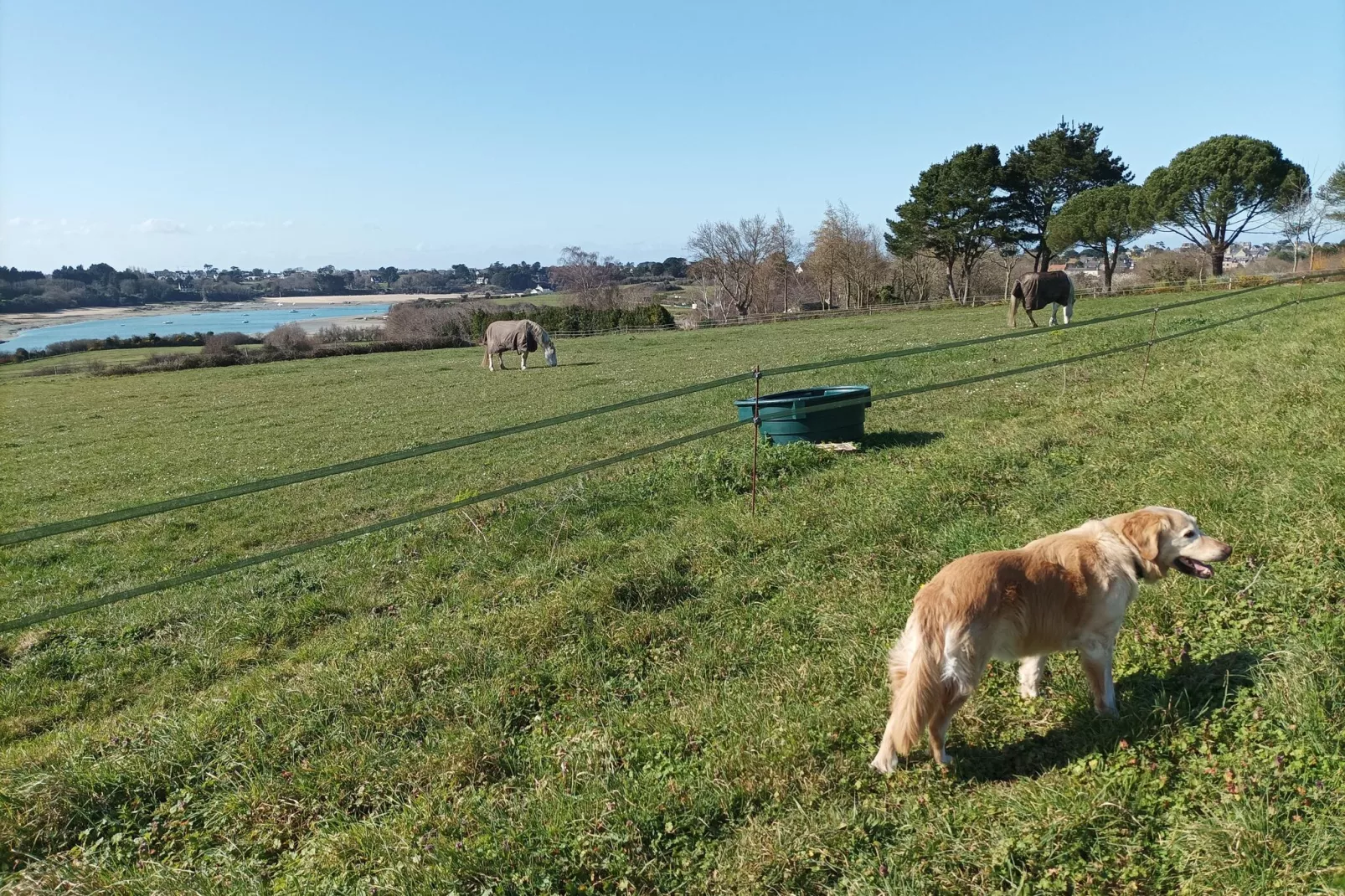 Dupleix dans un jardin bucolique à Saint Briac sur Mer-Gebieden zomer 1km