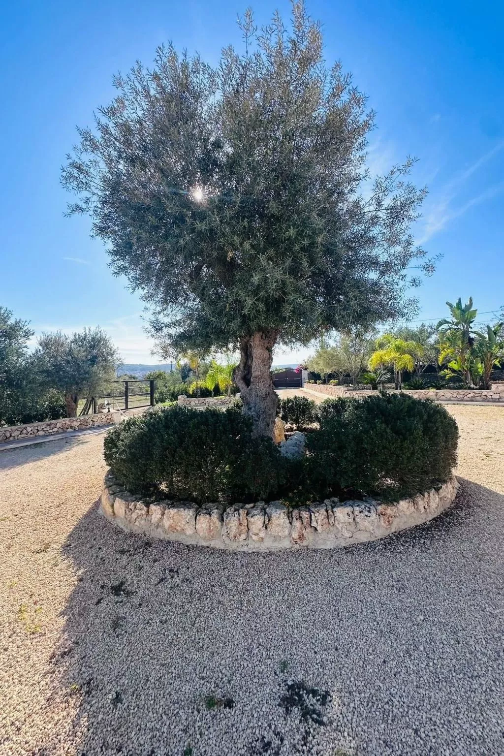 Villa Casale Bagni mit eigenem Pool - Image-tags.info