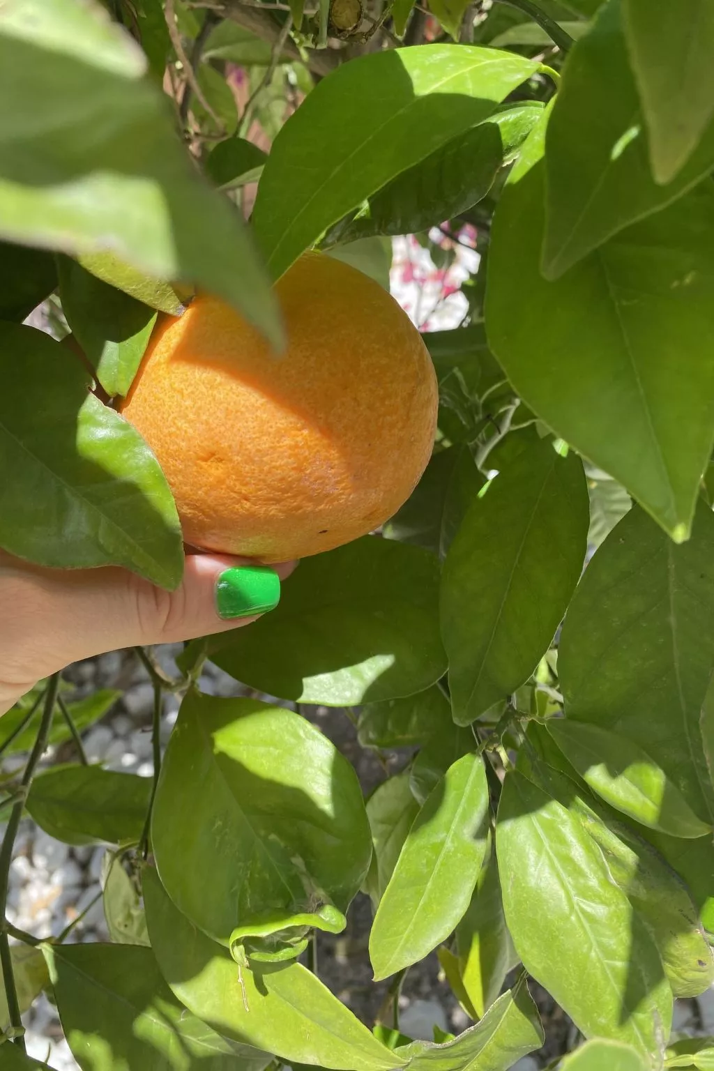 In Sa Ràpita mit Großer Terrasse - Image-tags.info