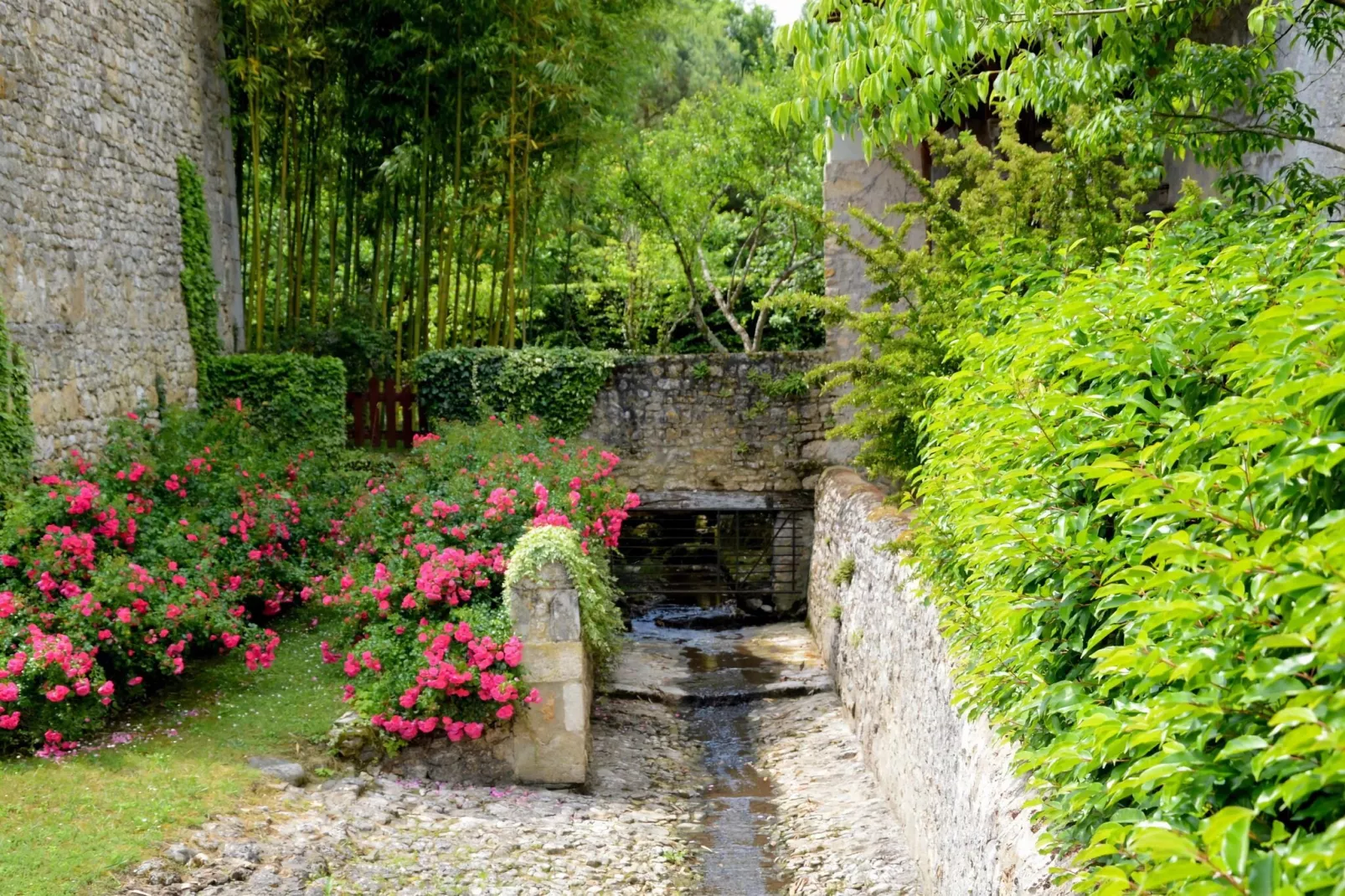 Ferme du Château de Néons-Tuinen zomer