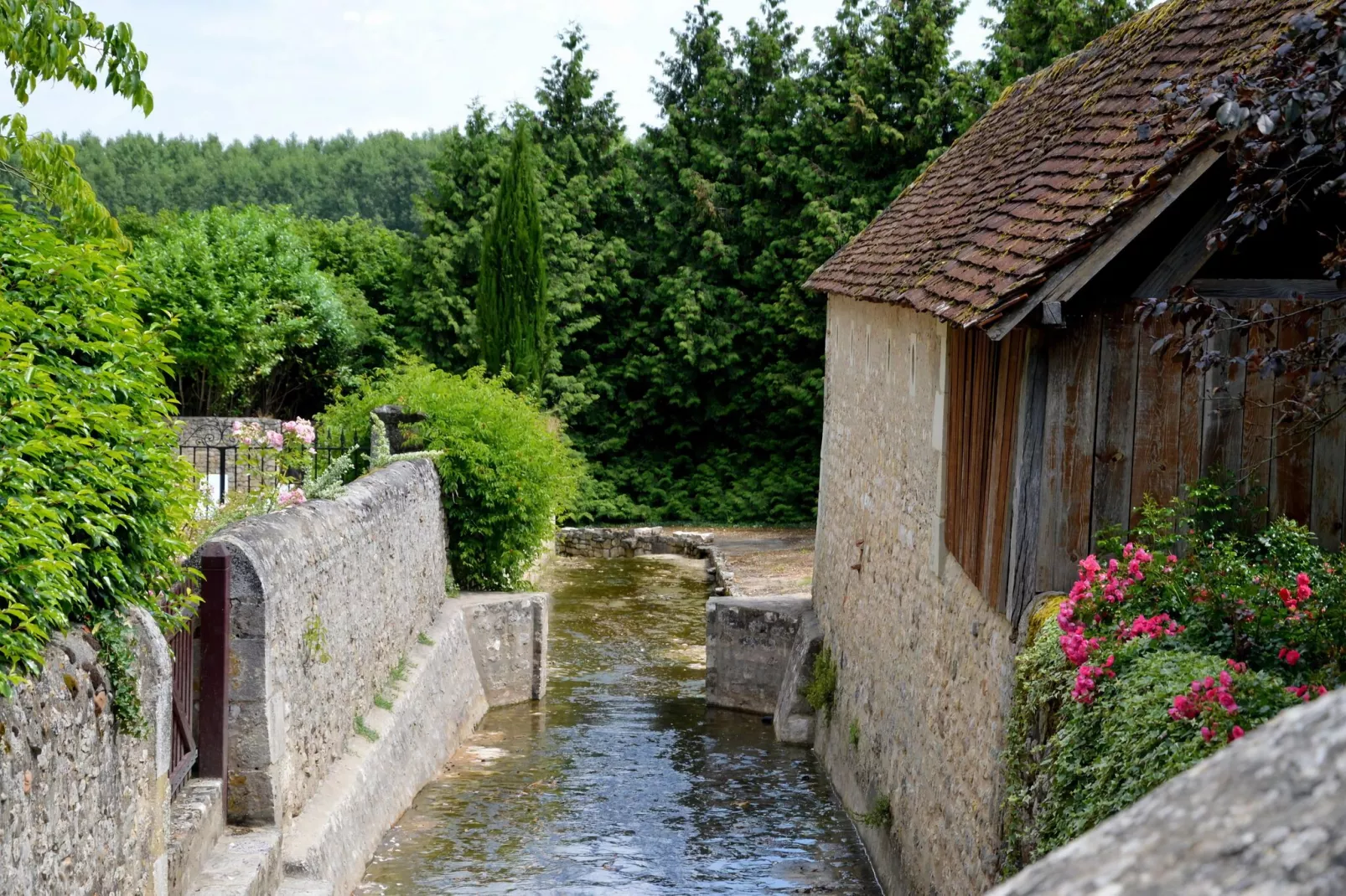 Ferme du Château de Néons-Uitzicht zomer