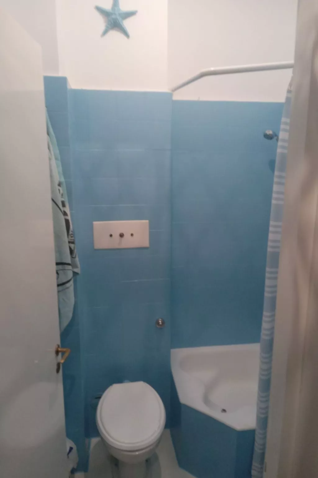 Seestern - Image-tags.info