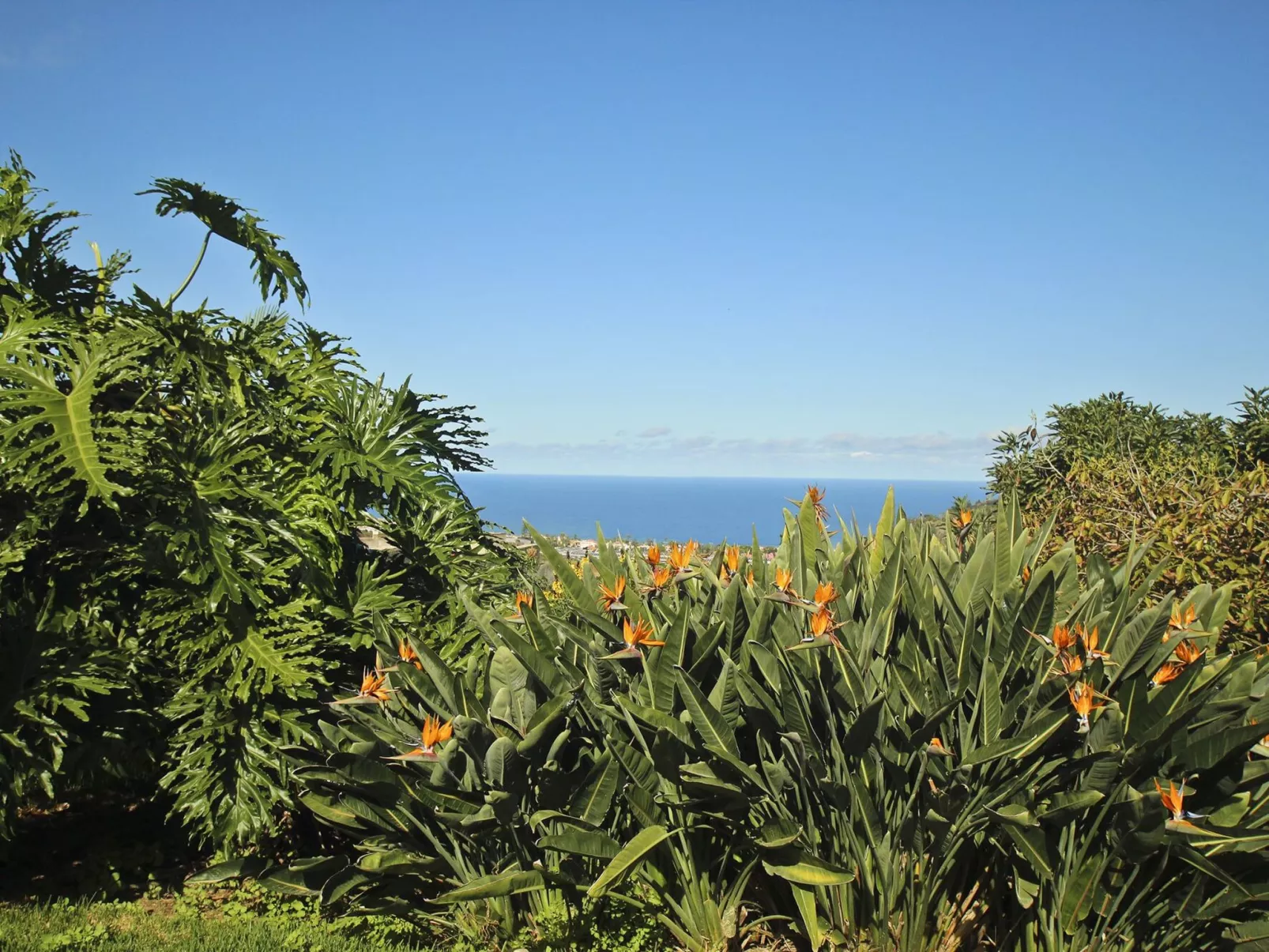 Finca Tocama - Image-tags.info