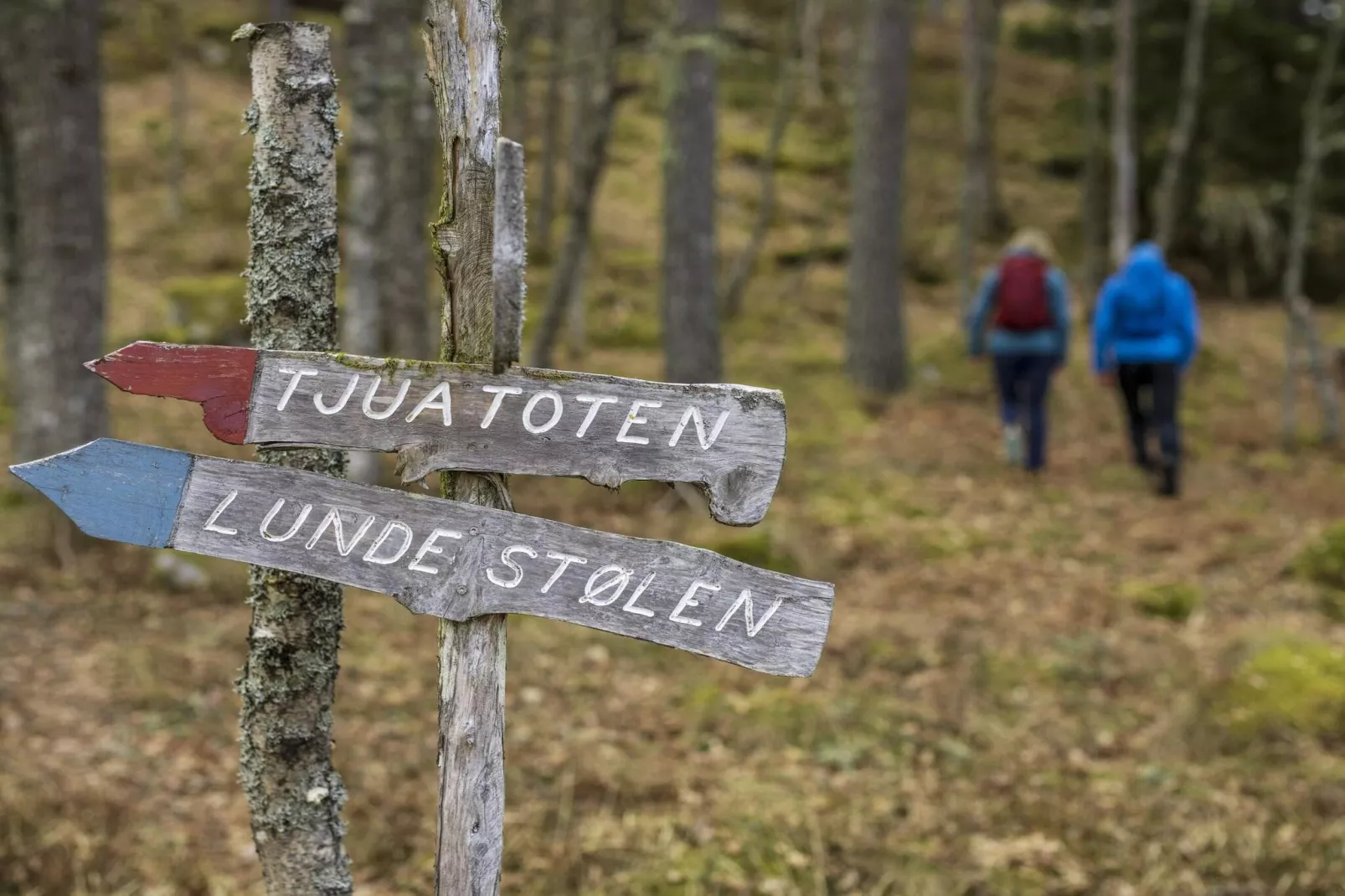 2 Personen vakantie huis in Balestrand - Niet-getagd