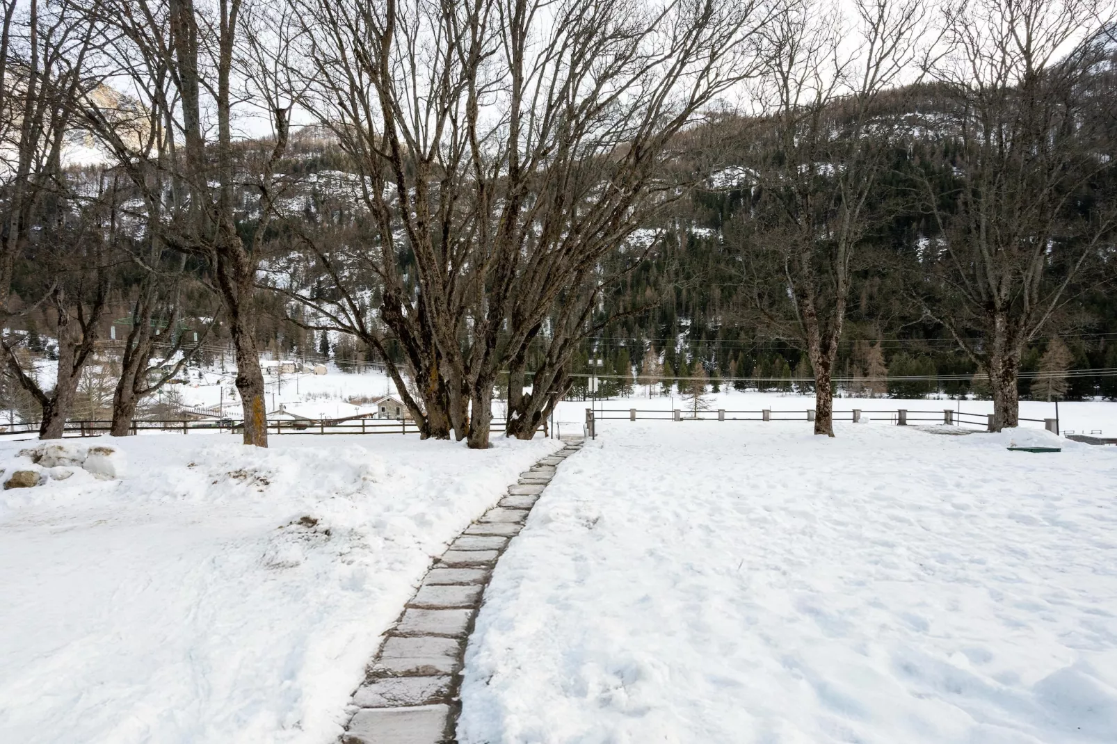 TRILO 2 CERESOLE-Uitzicht winter