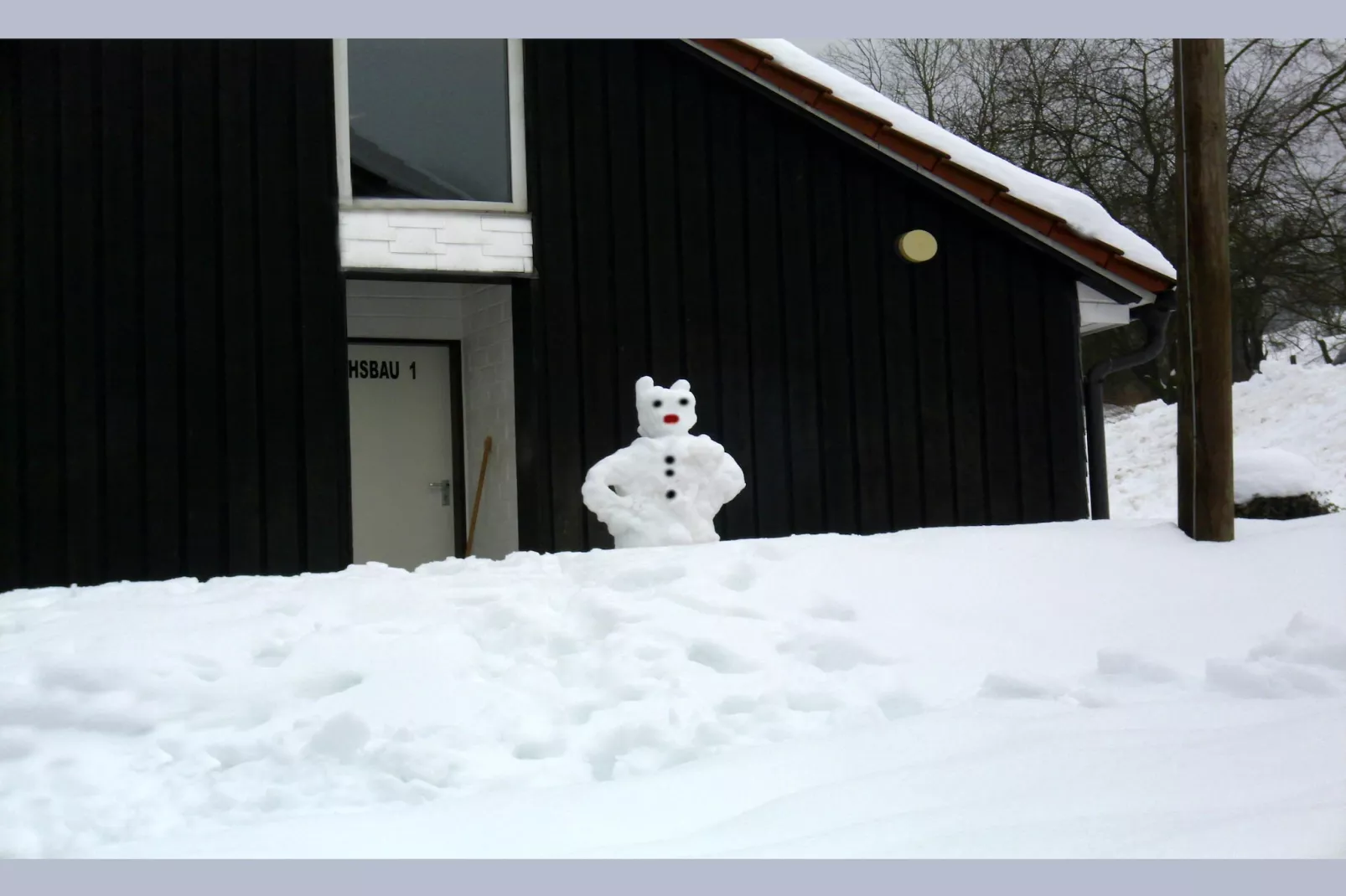 Dachsbau-Exterieur winter