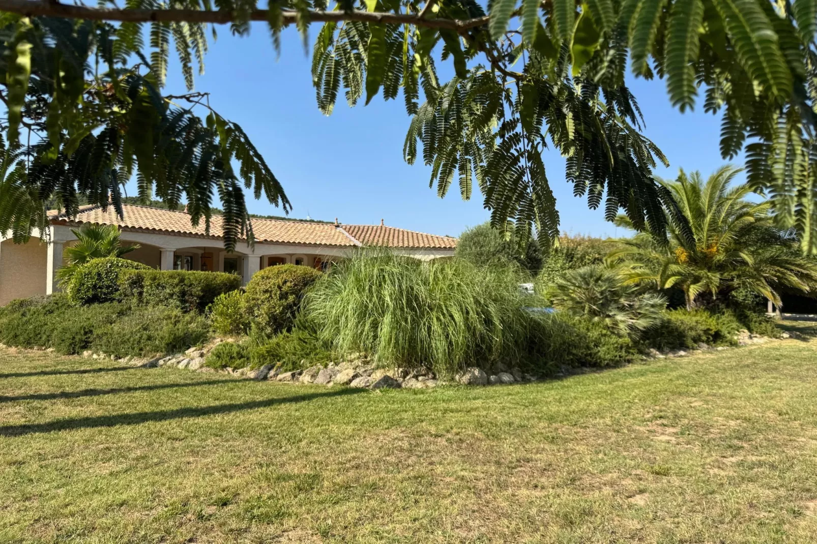 Villa l'Olivier - Tuinen zomer