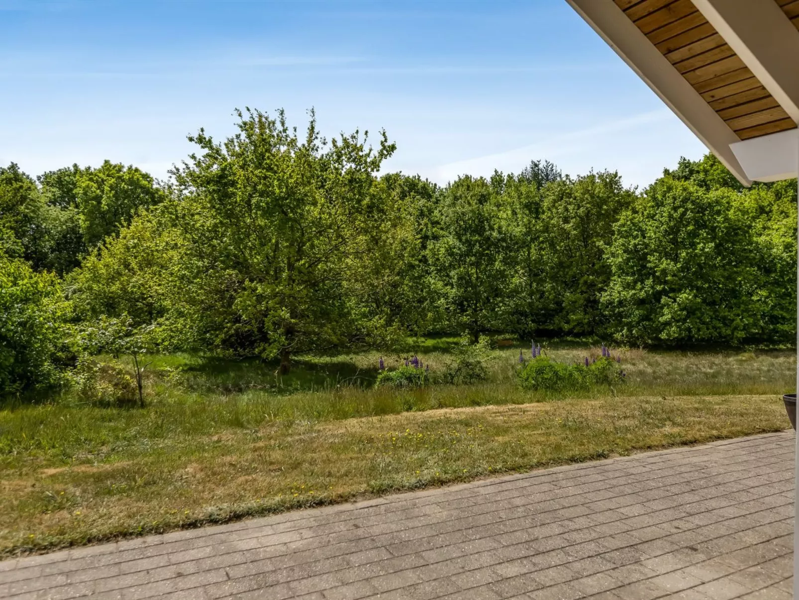 "Truels" - 30km from the sea-Buiten