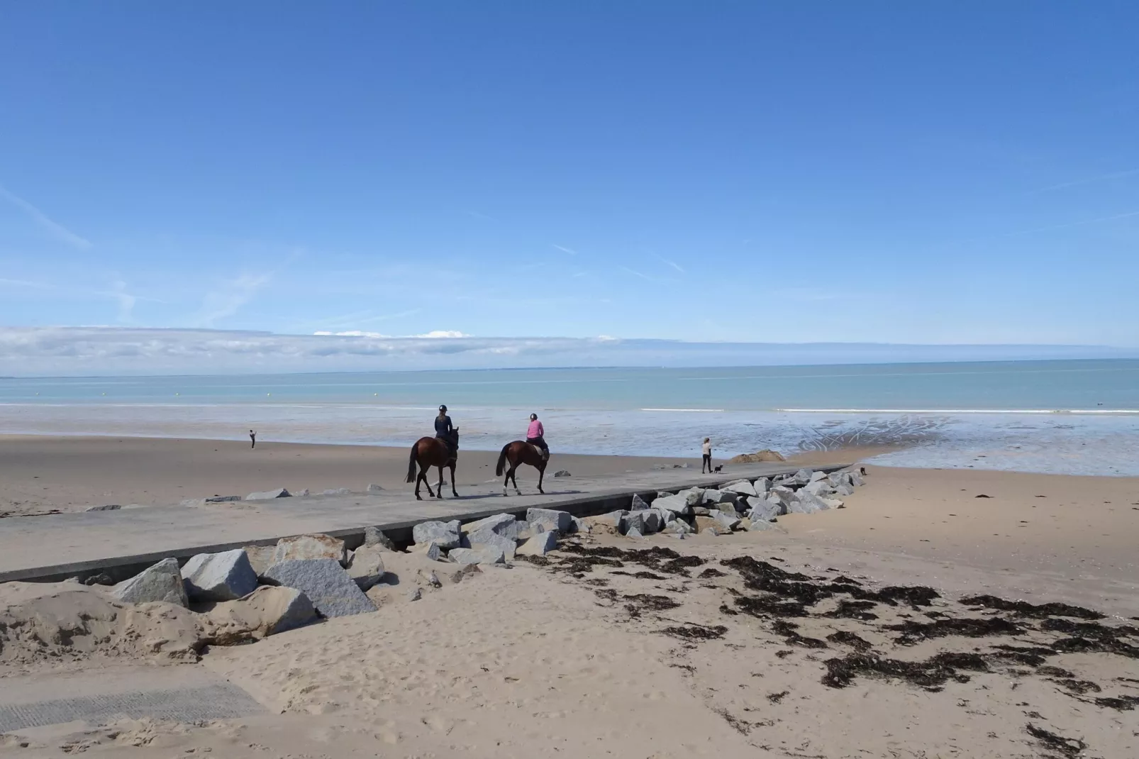 Maison de vacances 200 m mer St Pair sur Mer-Gebieden zomer 20km