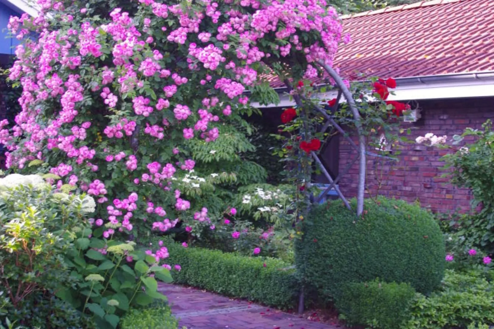 259581-Buitenkant zomer