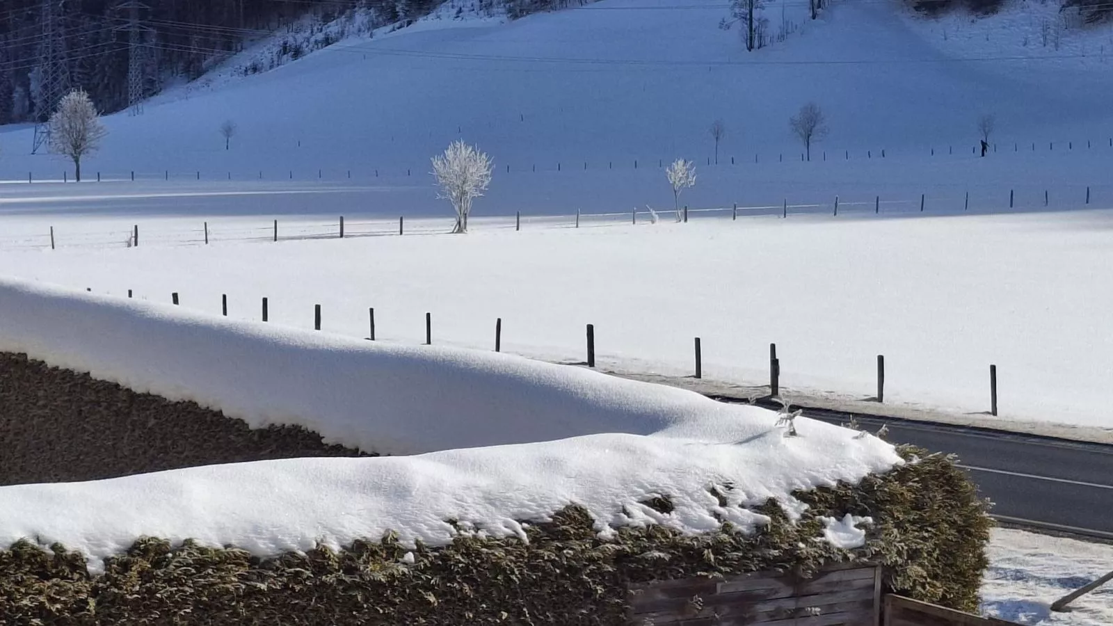 Joss - Uitzicht winter