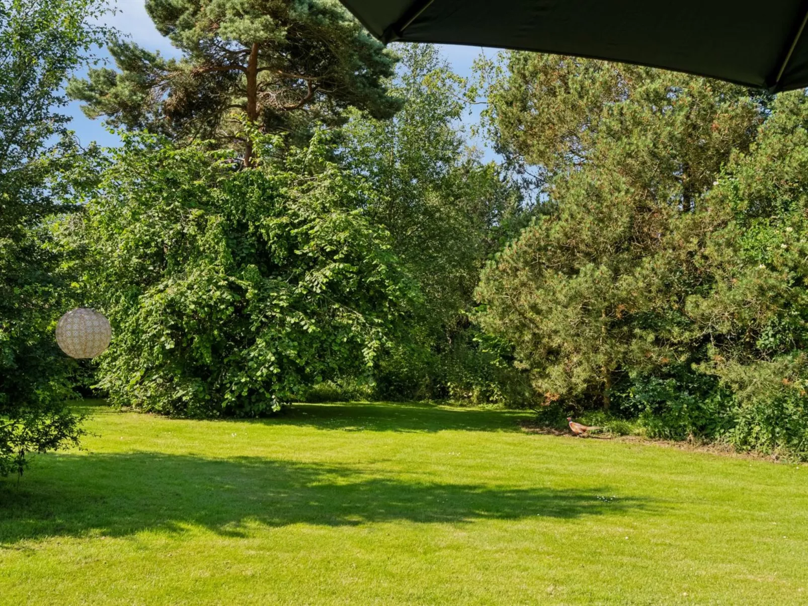 "Roald" - 320m from the sea-Buiten