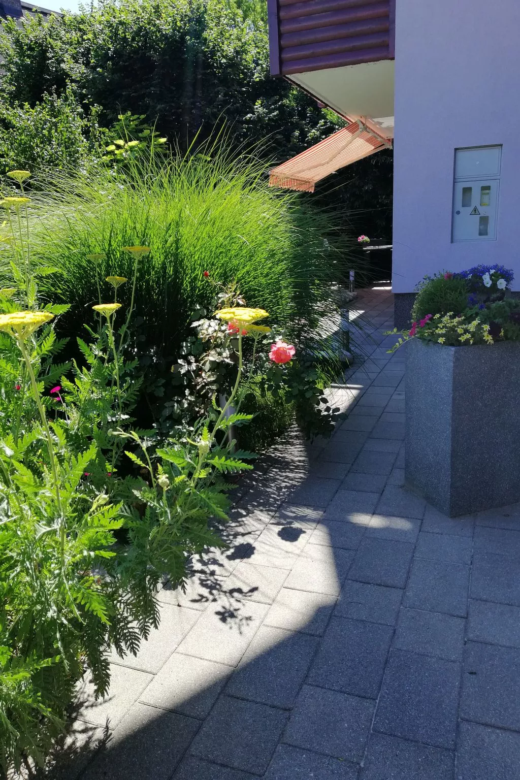 Mit eigenem Garten und Terrasse - Image-tags.info