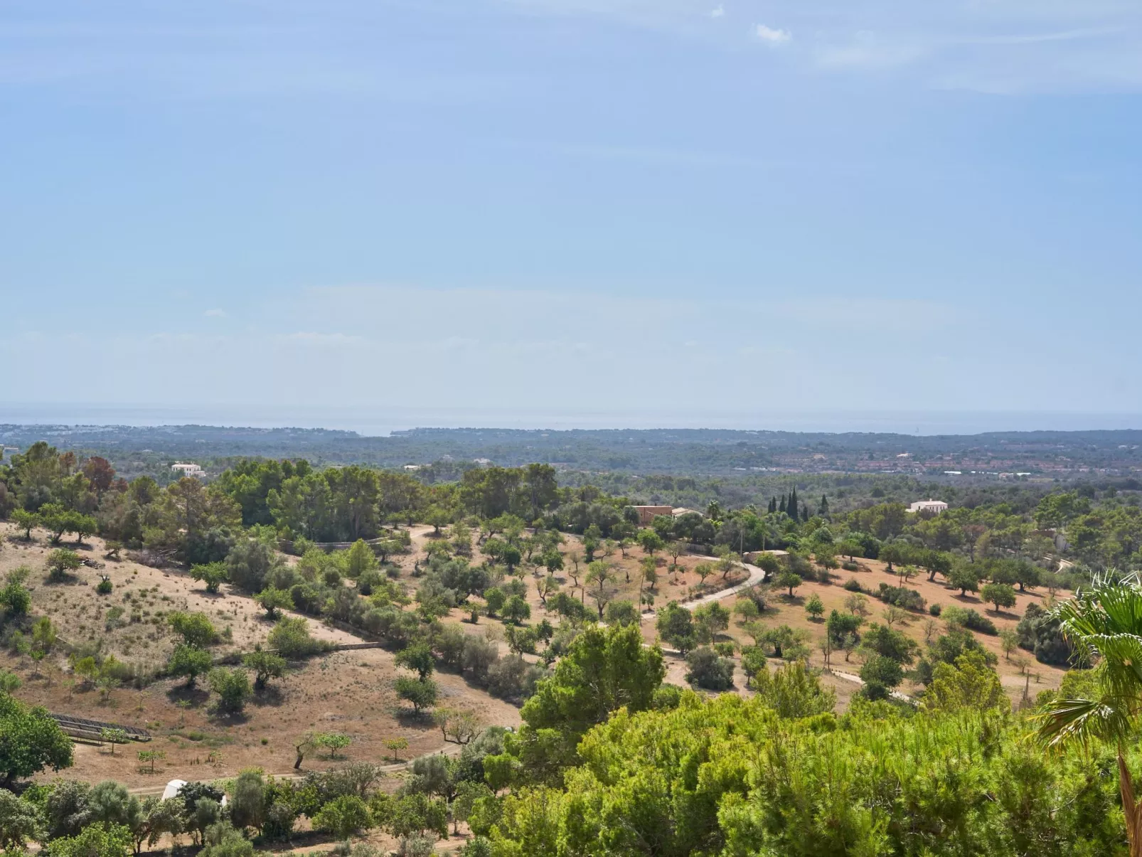 Puig de sa Figuera - Buiten