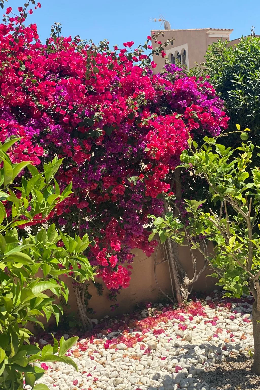 In Sa Ràpita mit Großer Terrasse - Image-tags.info