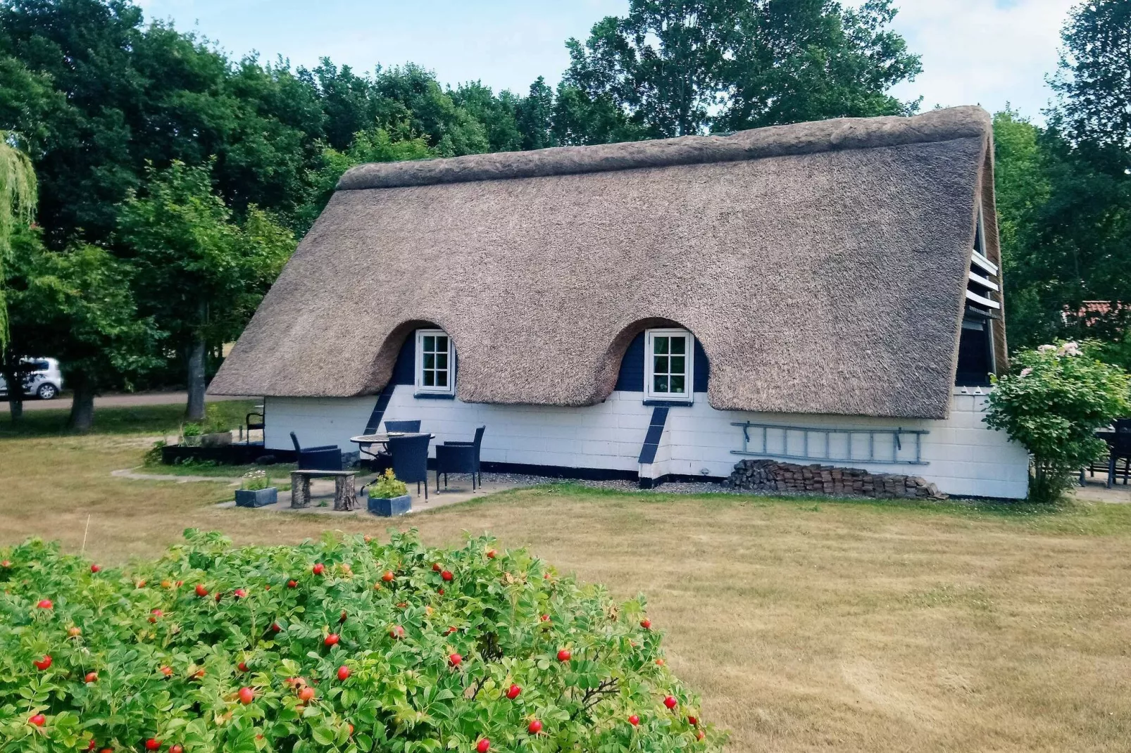 6 persoons vakantie huis in Asperup-Buitenlucht