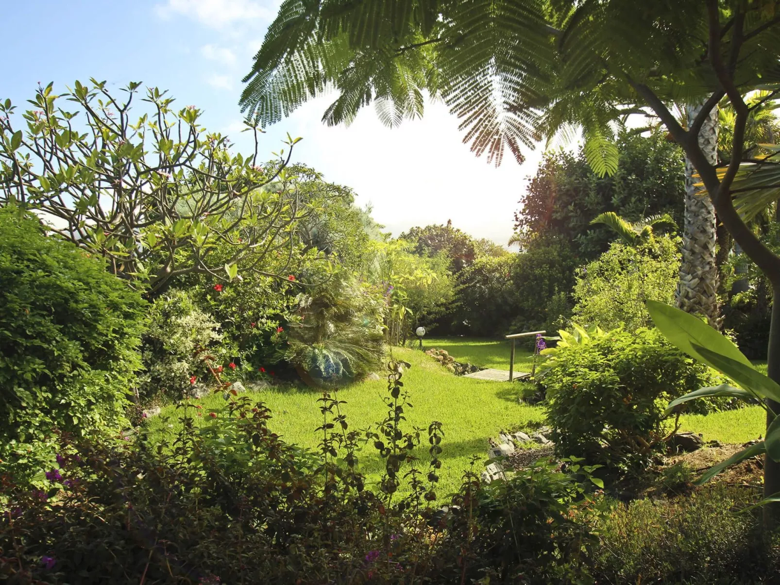 Finca Tocama - Image-tags.info