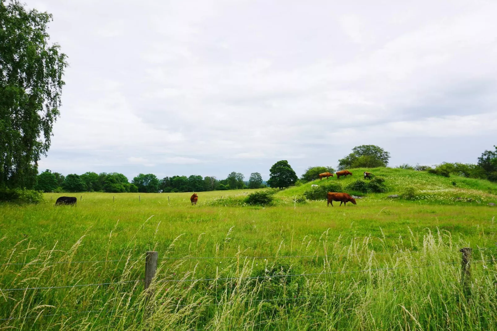 8 persoons vakantie huis in ADELSÖ-Niet-getagd