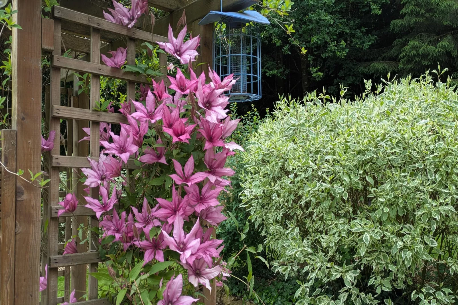 Chatillon 67 - Sfeer