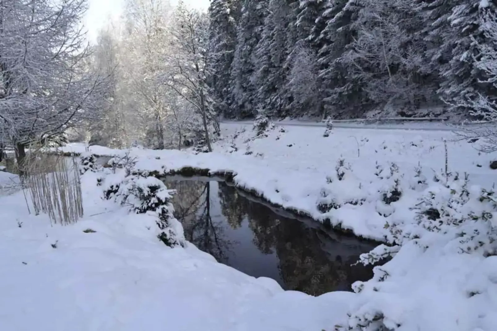 Gîte GRETEL-Gebied winter 1km