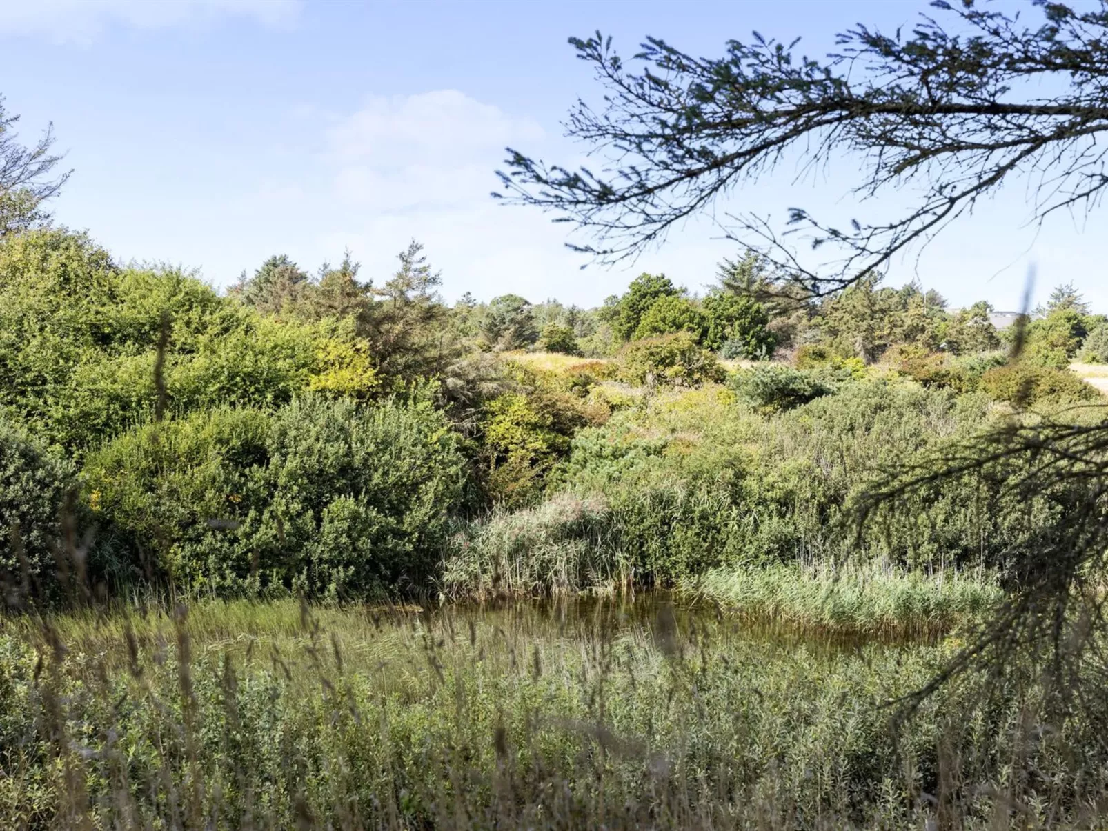 "Joris" - 1.5km from the sea-Buiten