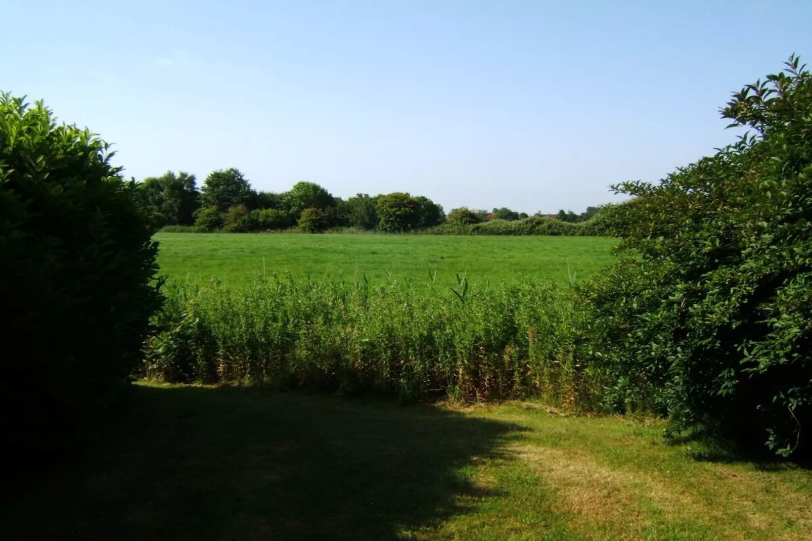 381370-Gebieden zomer 1km