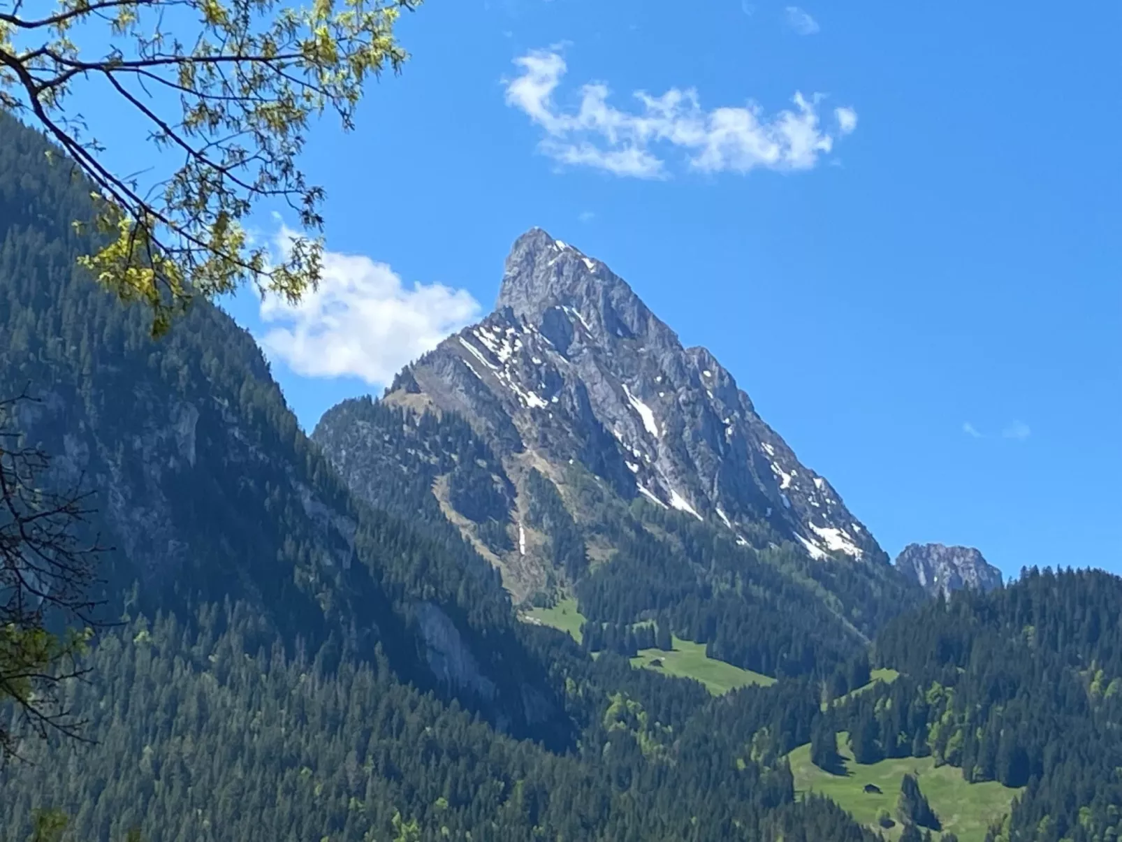 Malgré-tout - Binnen