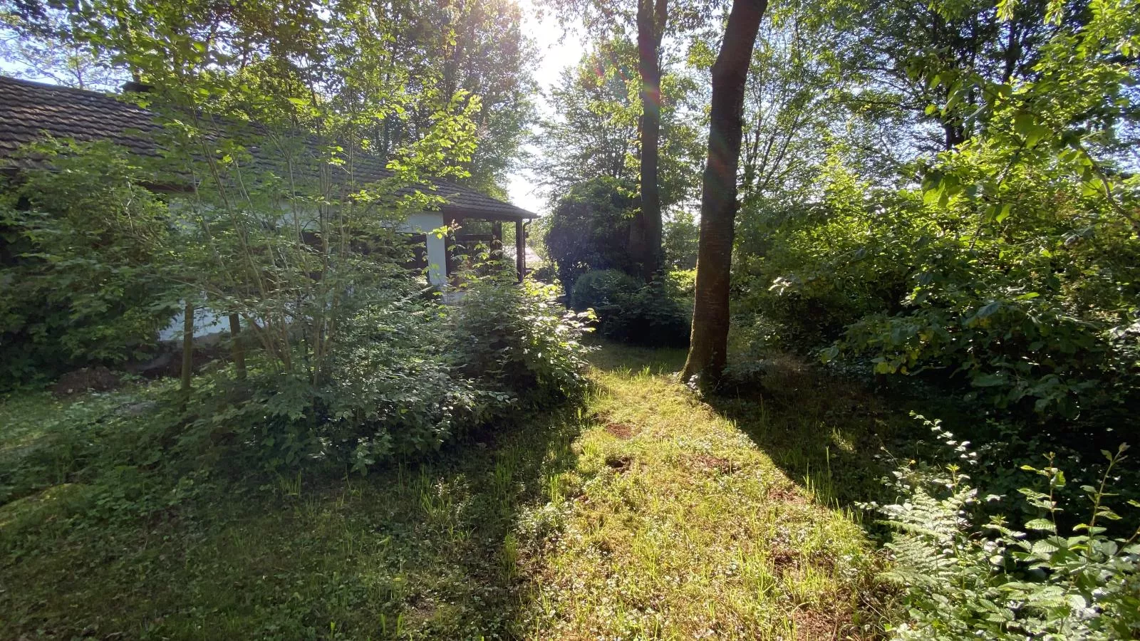 Boogie House - Buitenkant zomer