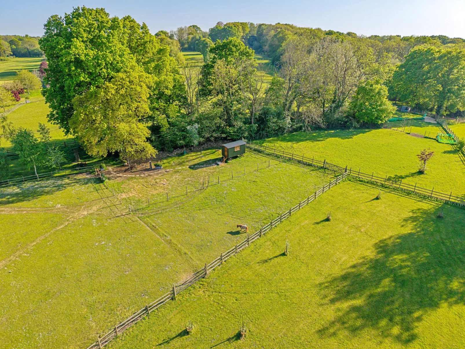 Shepherd's Hut at Hilltop Farm - Buiten