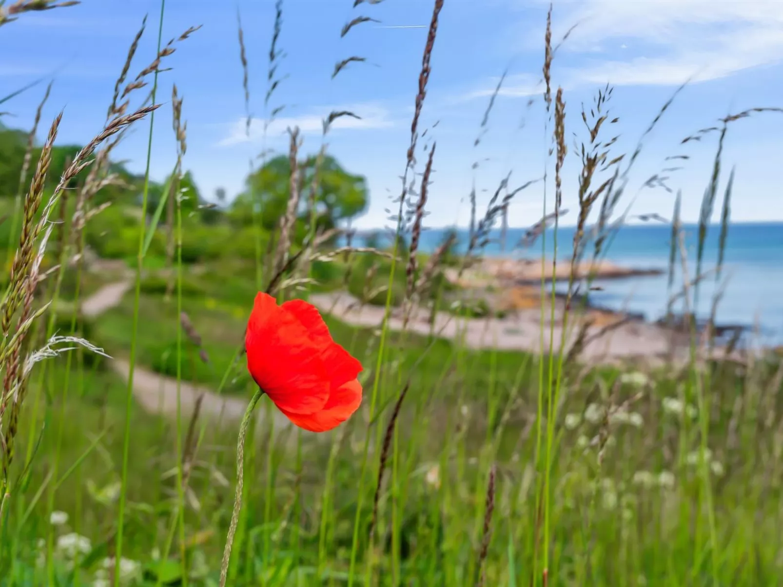 "Yosefin" - 50m from the sea-Buiten