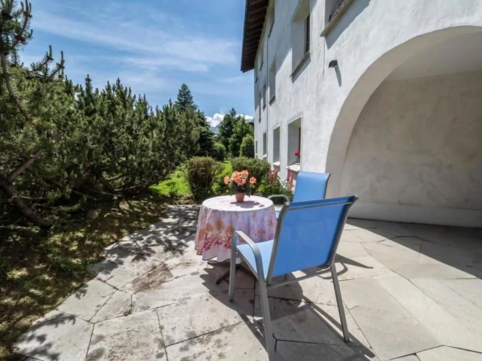 Selvas 12 - Image-tags.info