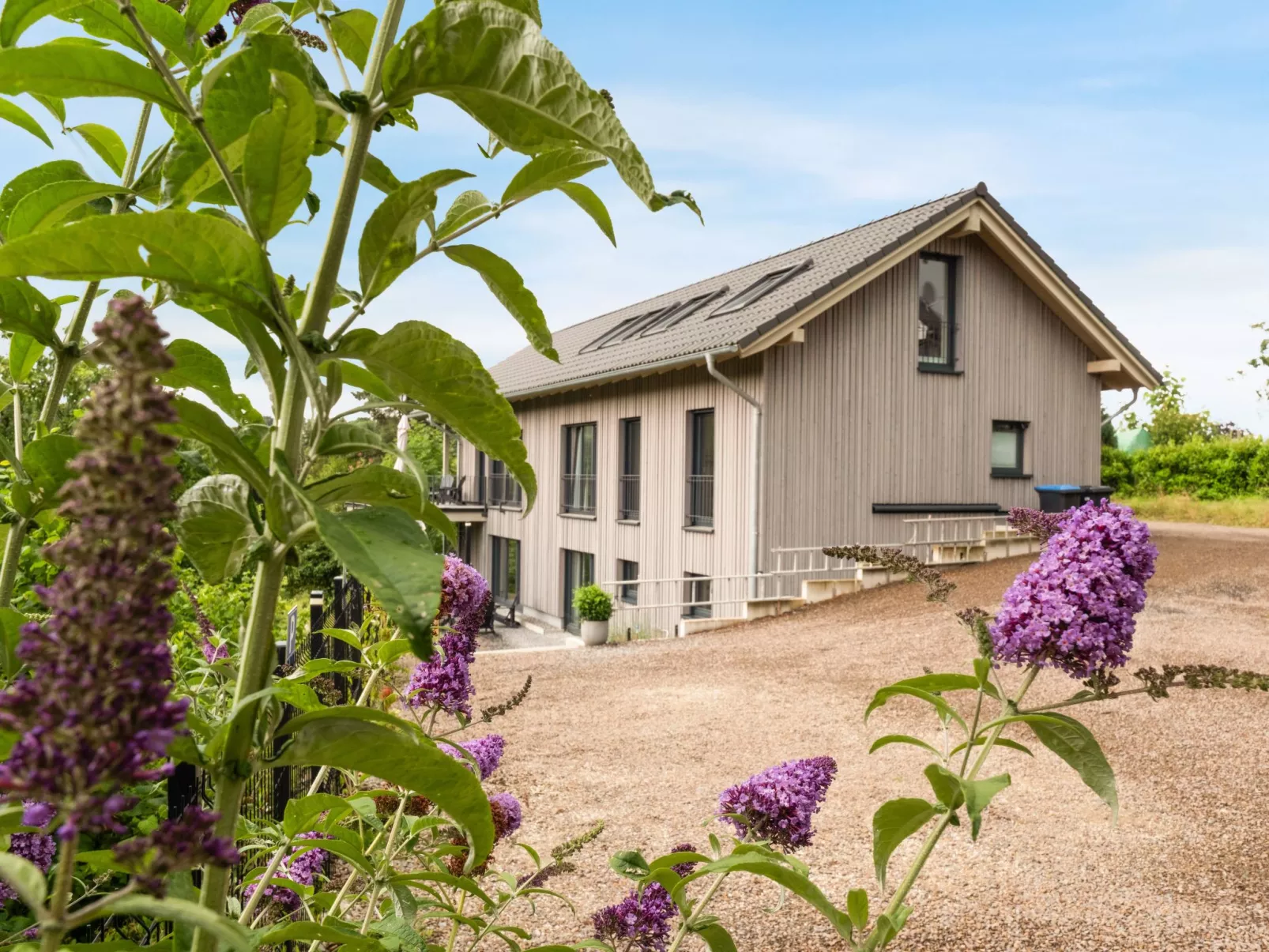 The Forest Retreat - Image-tags.info