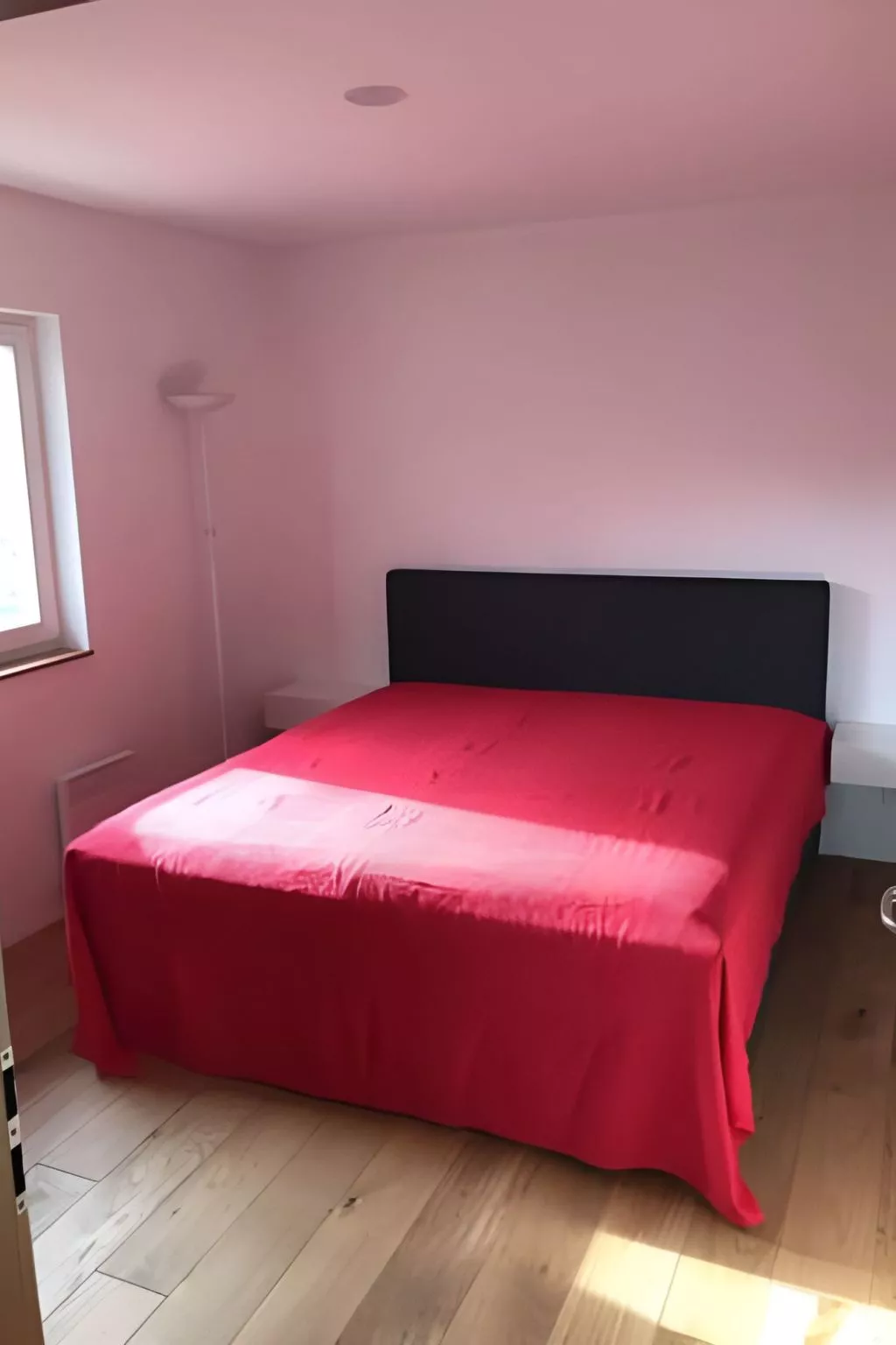 Carpe diem - Image-tags.info