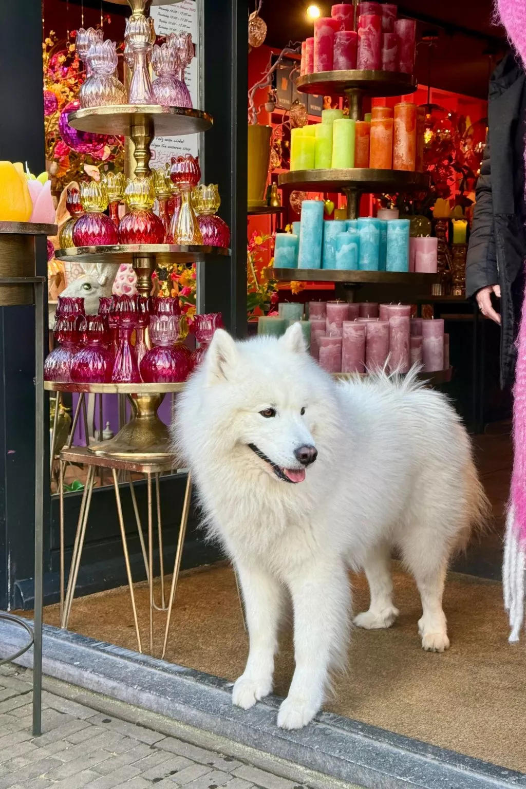 Rekerlanden 174 - Binnen