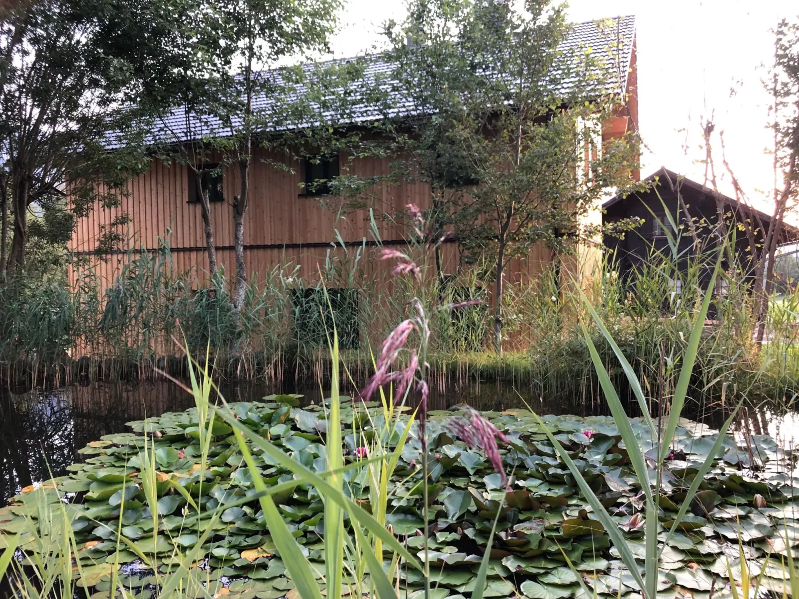 Nette Wohnung in Bad Aussee mit Garten und Grill und Bergblick - Image-tags.info