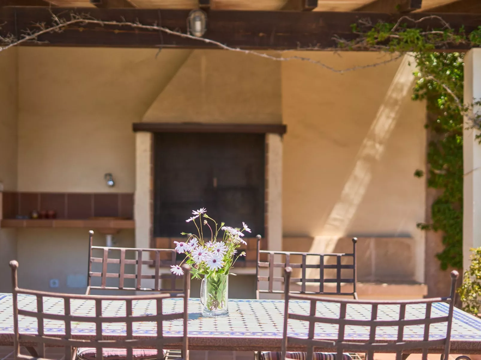 Finca Mal Ric - Buiten