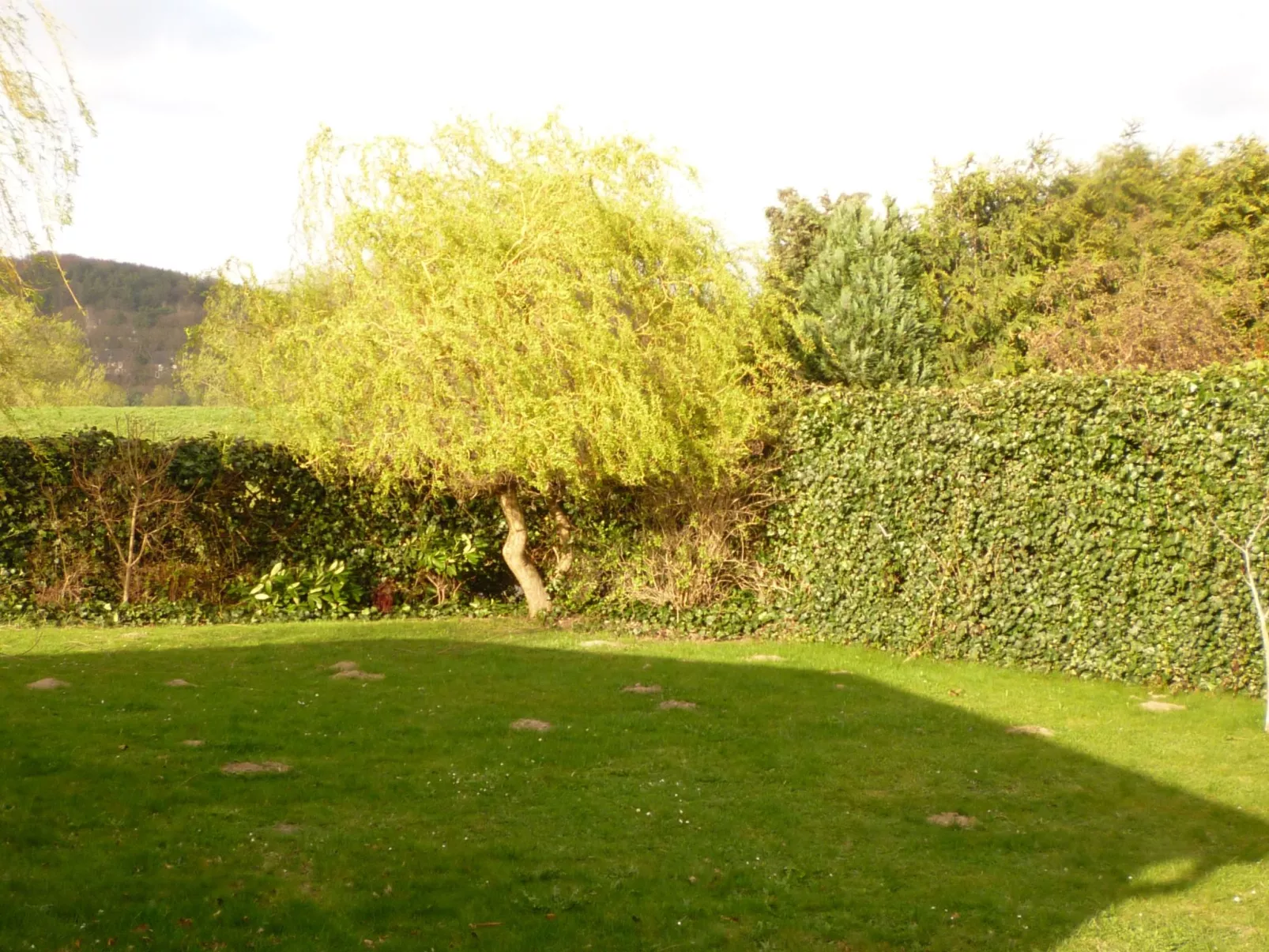 Elbufer 4C - Image-tags.info