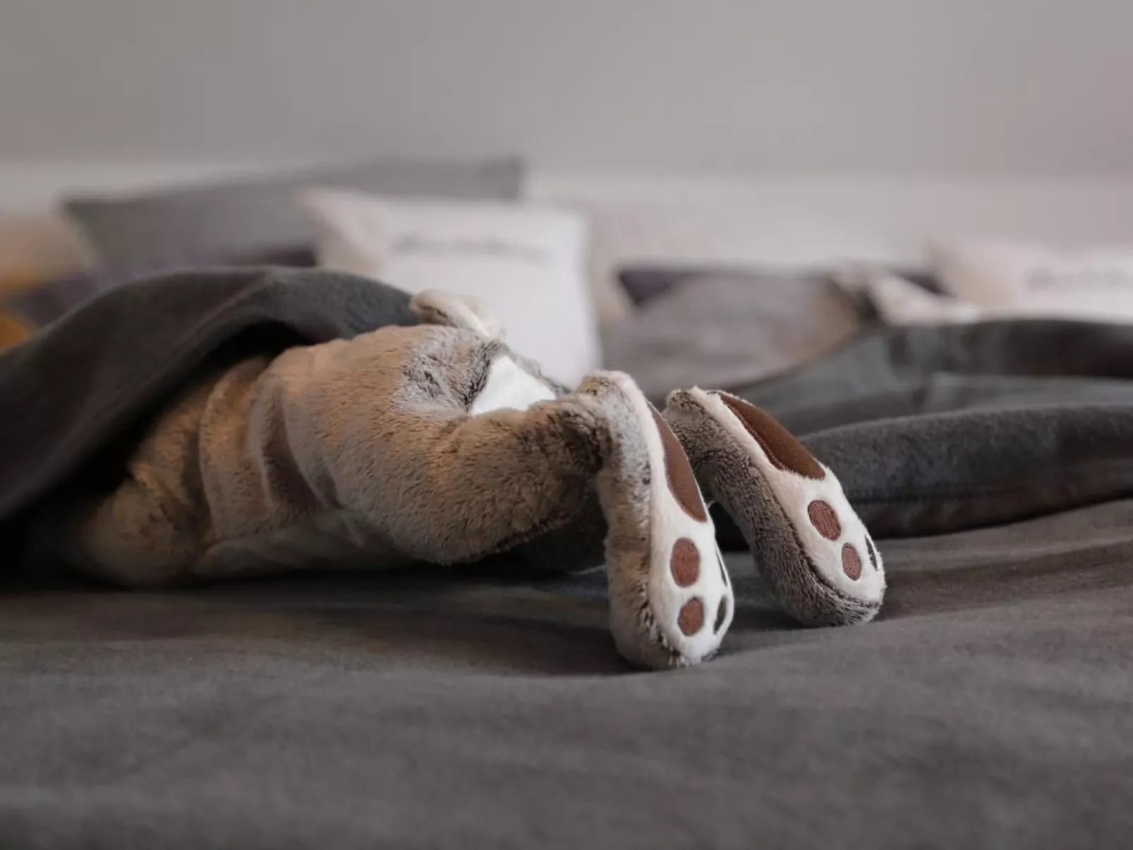 Appartement in Mastershausen mit Terrasse, Garten und Grill - Image-tags.info