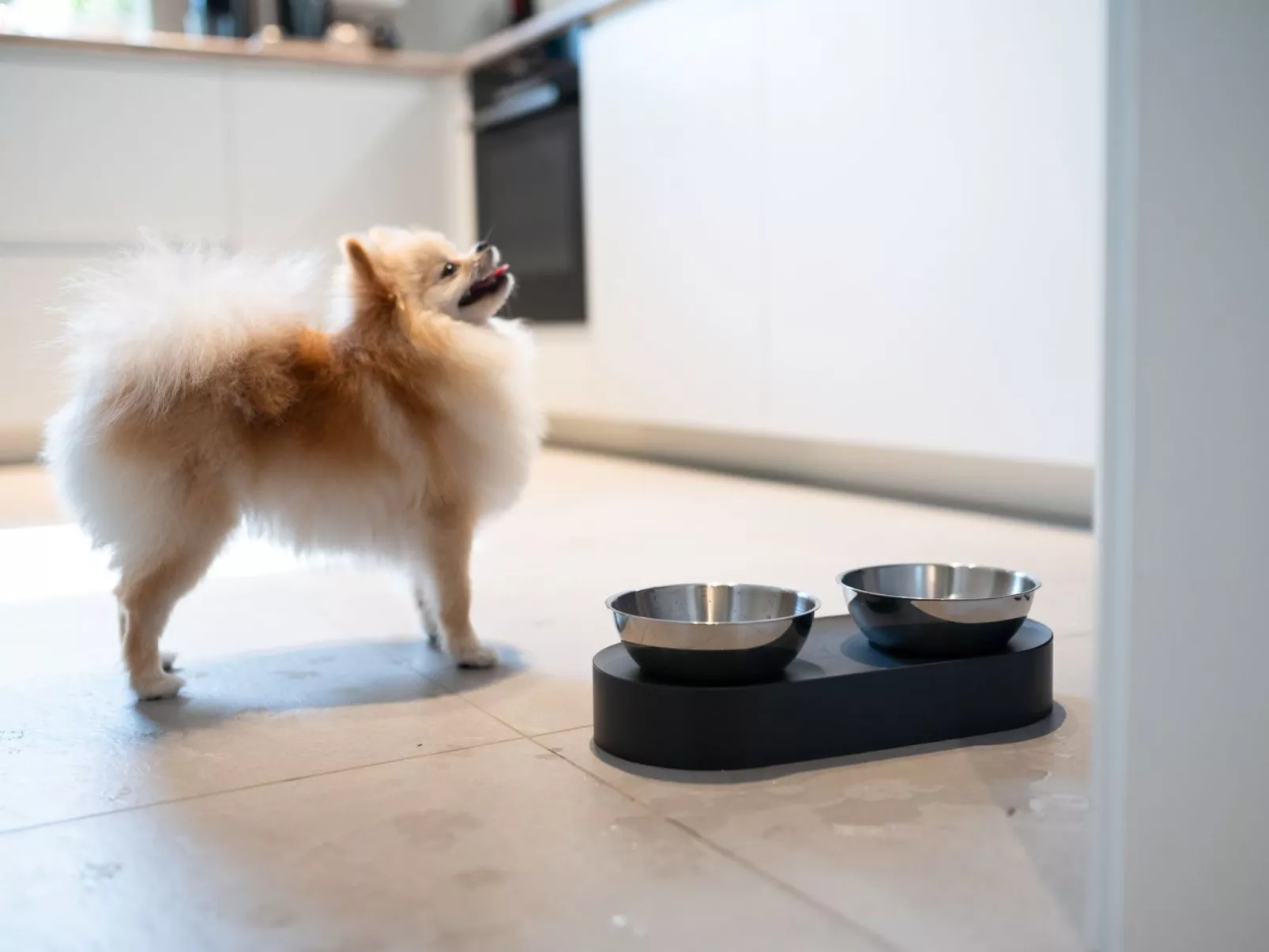 House 756 Mainz - Image-tags.info