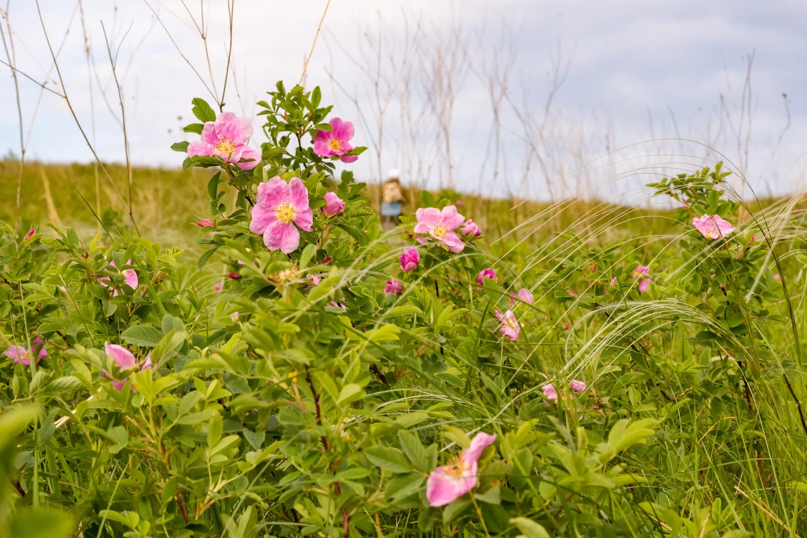 Comfort 4p Schlafzimmer - Basic - Gebieden zomer 5km