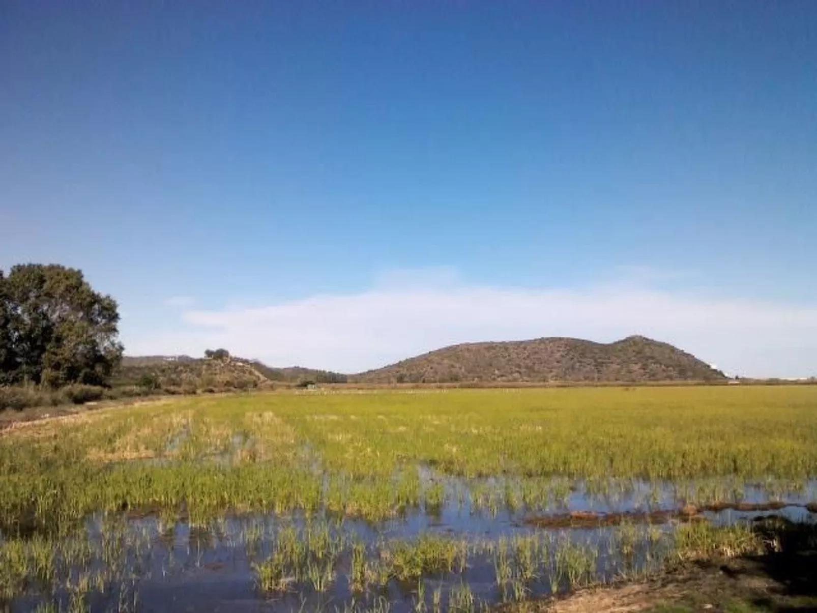 Villa im spanischen Stil mit großem Pool und ein - Buiten