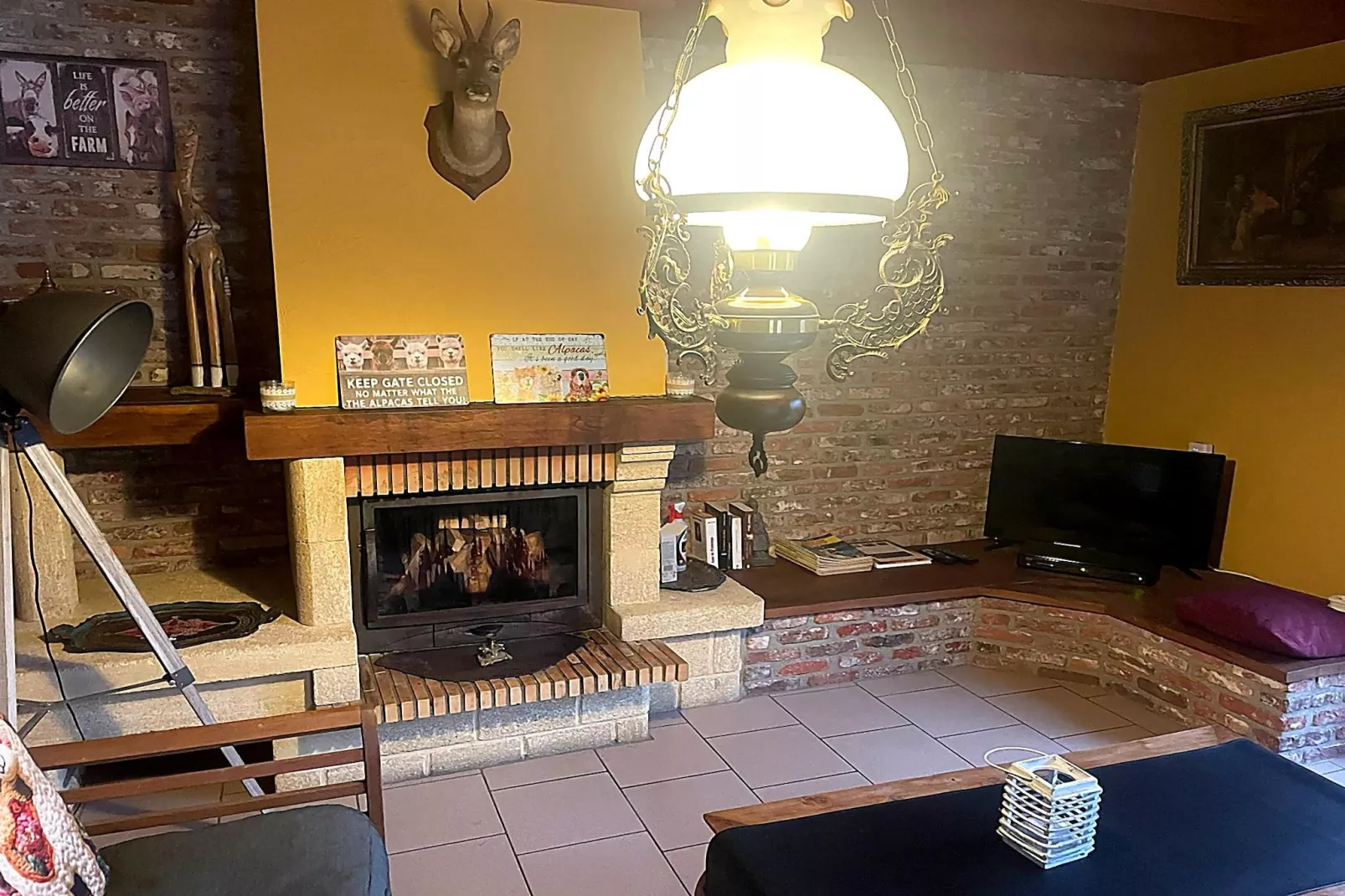 Hondvriendelijke woning met sauna en jacuzzi - Woonkamer