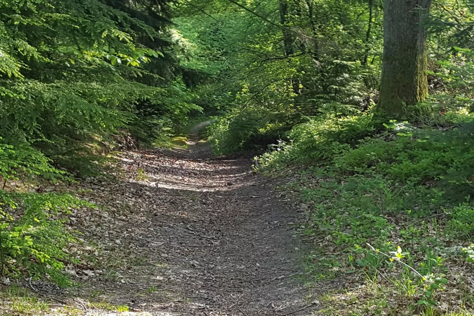 8 persoons vakantie huis in Ebeltoft-Niet-getagd