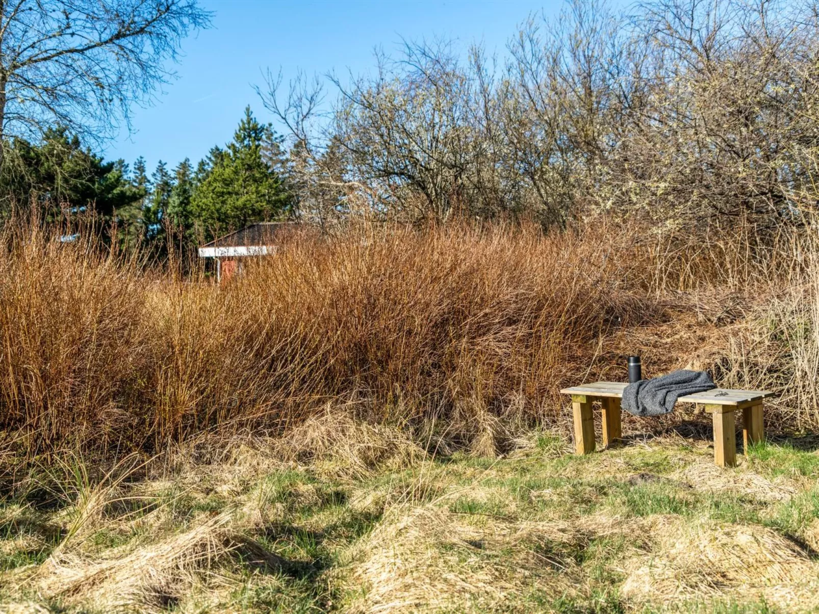 "Anneke" - 2km from the sea-Buiten
