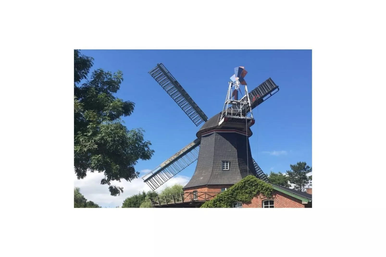 277617-Gebieden zomer 5km