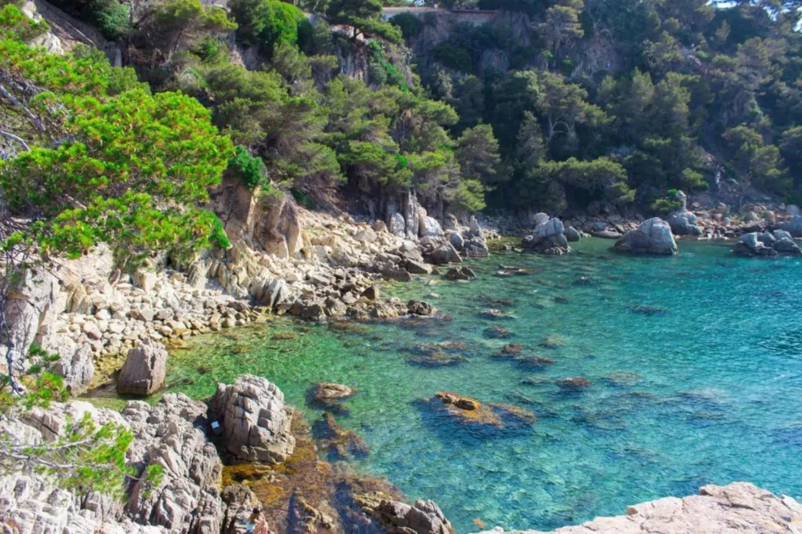 Marian-Gebieden zomer 5km