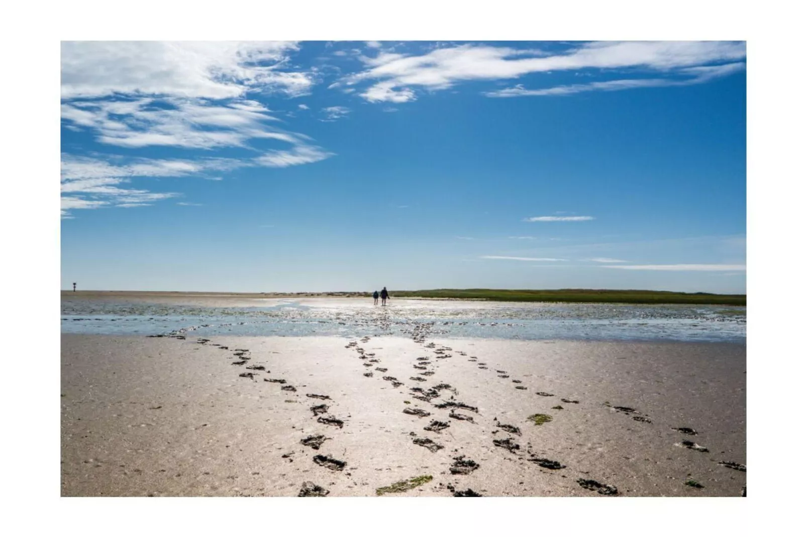 561676-Image-tags.water view