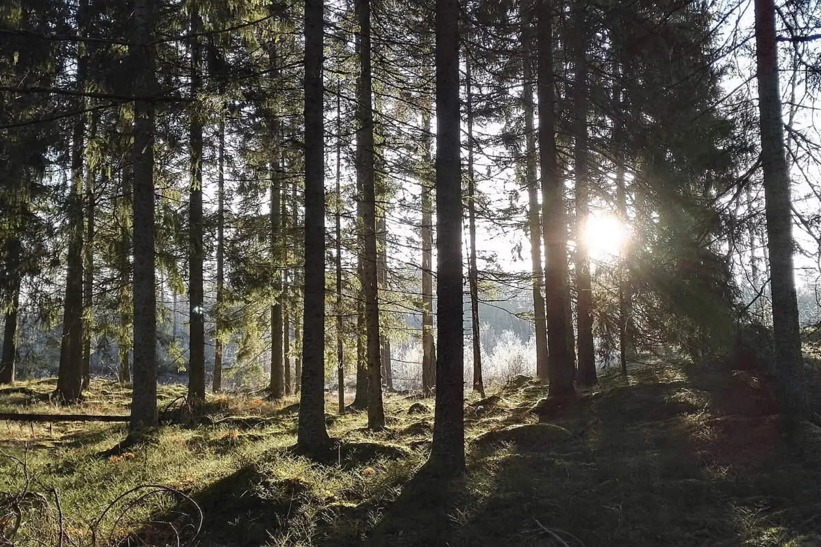 5 Personen vakantie huis in Knutby-Niet-getagd