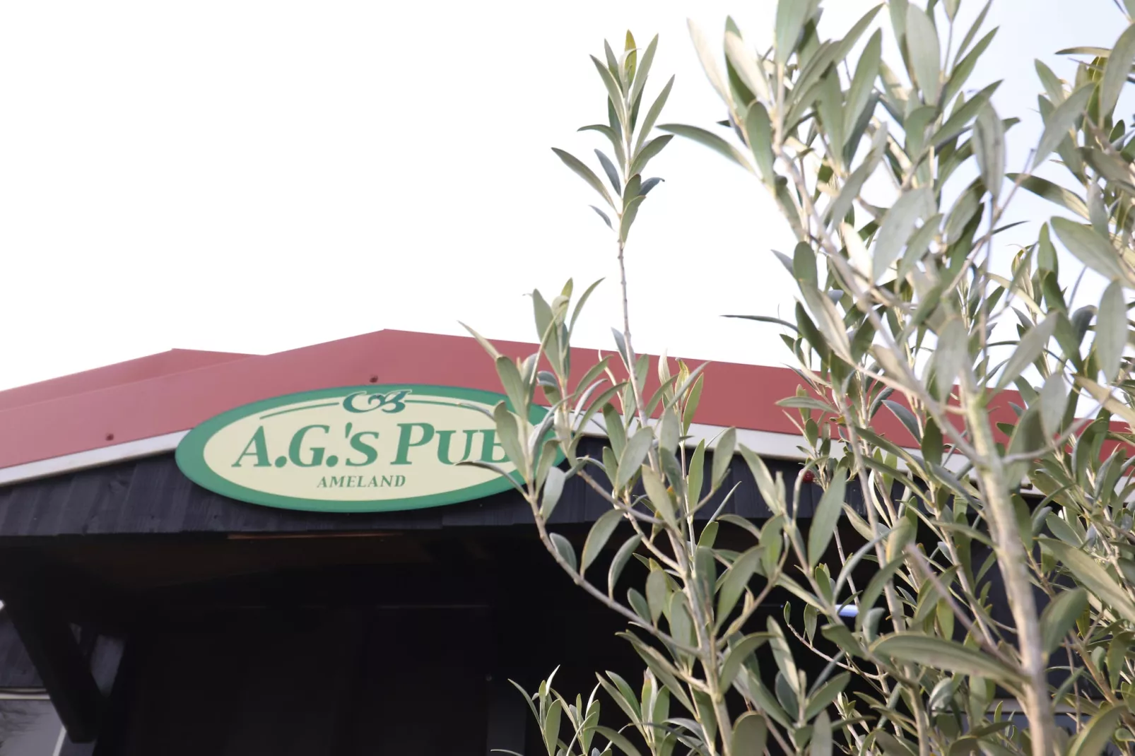 Duinchalet Ameland-Parkfaciliteiten